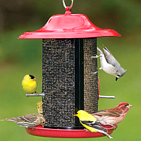 Wire Mesh Bird Feeders